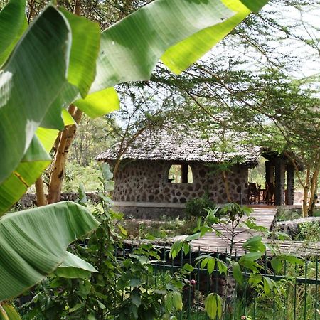 Kiboko Lodge Usa River Eksteriør billede
