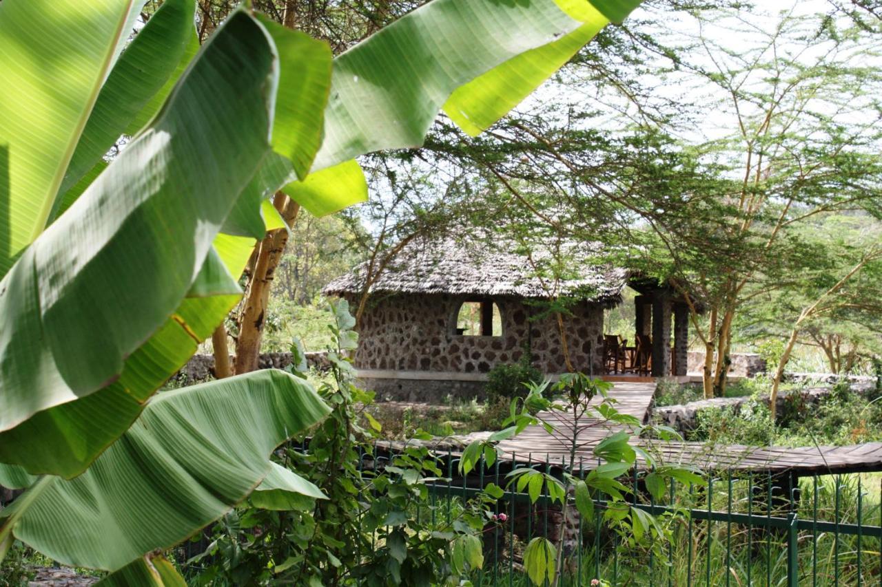 Kiboko Lodge Usa River Eksteriør billede