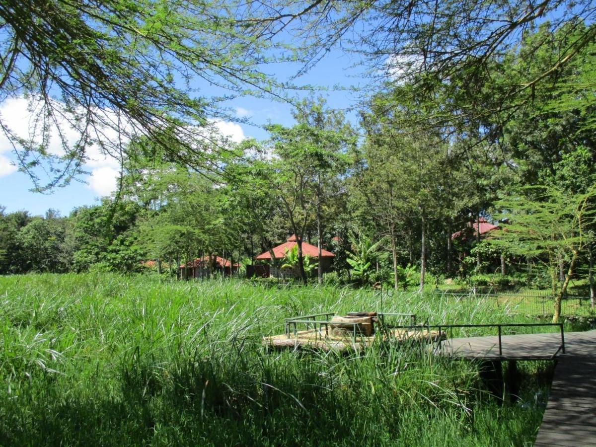 Kiboko Lodge Usa River Eksteriør billede